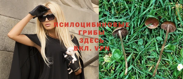 мдма Няндома
